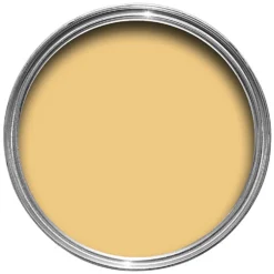 Farrow & Ball Exterior Masonry Paint Yellow Ground - 5L -Rust-Oleum Store 12810025 2544951870926552
