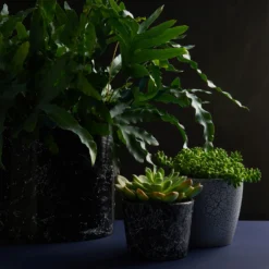 Craig & Rose Artisan Crackle Effect Spray Paint - Black - 400ml -Rust-Oleum Store 12817532 1464833199991187