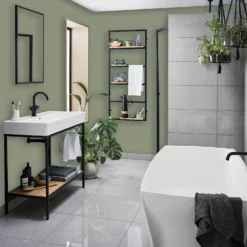 Homebase Bathroom Mid Sheen Paint - Chinese Evergreen 2.5L -Rust-Oleum Store 12832550 2024832985548094