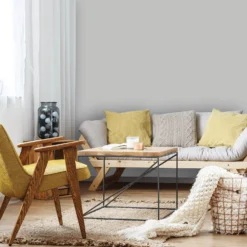 Homebase Silk Emulsion Paint Grey Fox - 2.5L -Rust-Oleum Store 12836601 2444833205443483