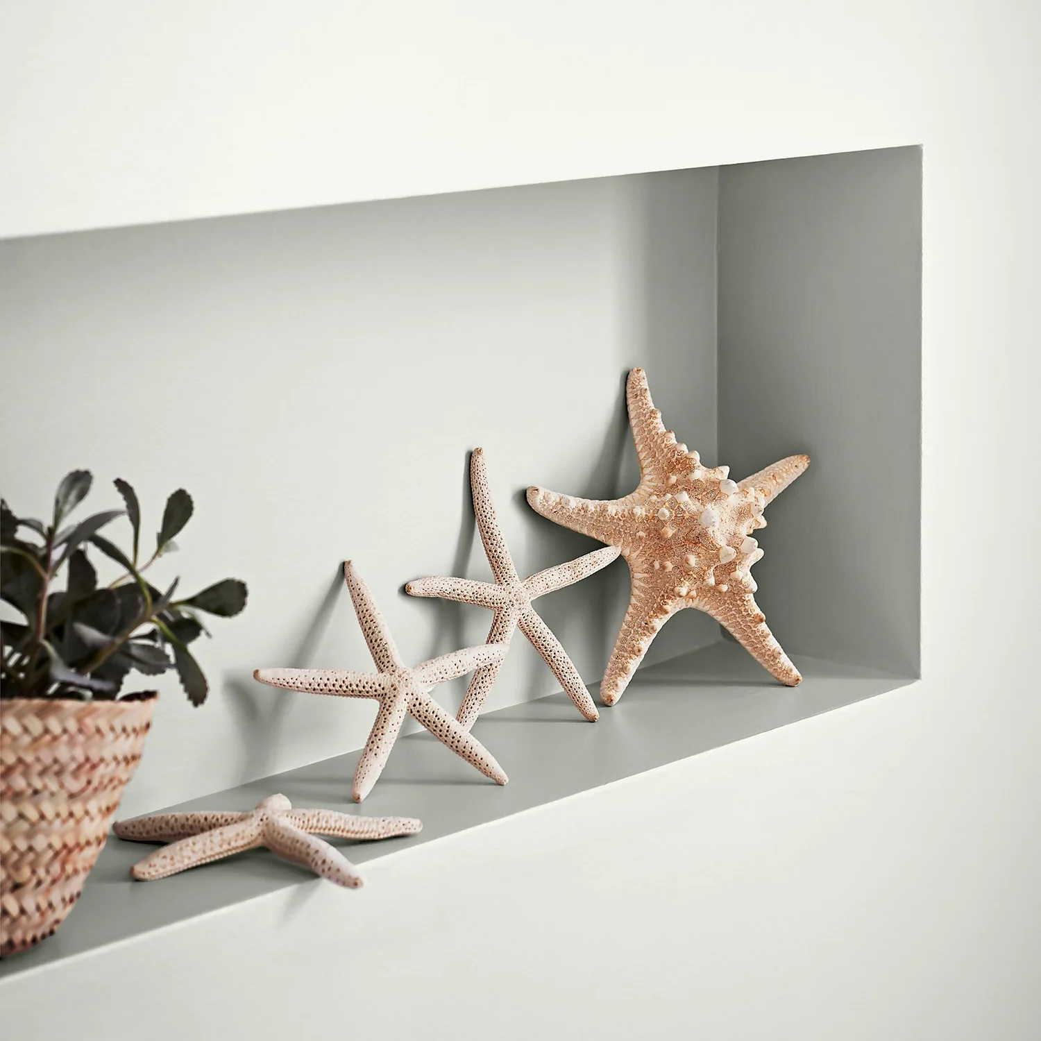 Crown Easyclean® Mouldguard+ Bathroom Mid Sheen Washable Multi Surface Paint Milk White® - 2.5L Crown Easyclean® Mouldguard+ Bathroom Mid Sheen Washable Multi Surface Paint Milk White® - 2.5L -Rust-Oleum Store 12886762 1894853415641364