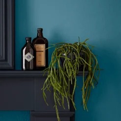 Crown Easyclean® Mouldguard+ Bathroom Mid Sheen Washable Multi Surface Paint Teal® - 2.5L -Rust-Oleum Store 12886785 1744853415906324